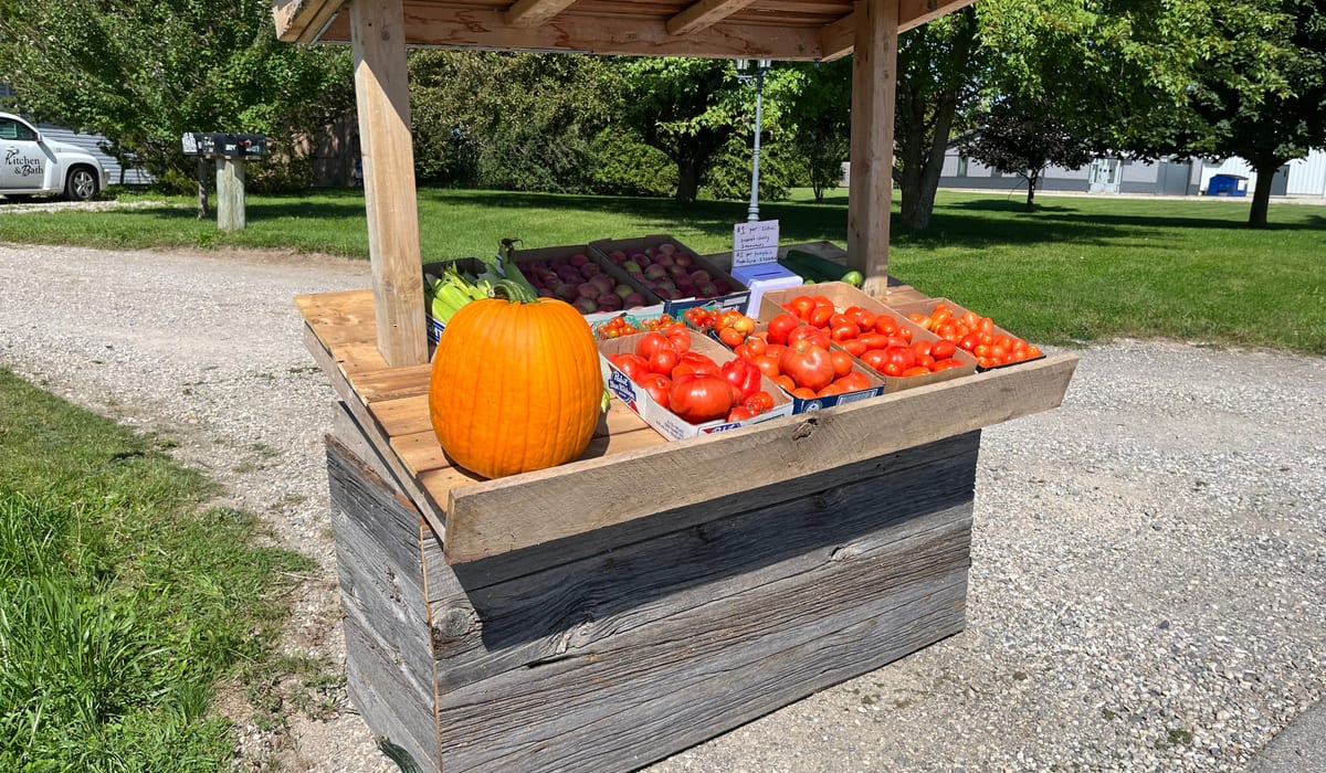 Oakview Farm stand with fresh tomatoes, pumpkins, and seasonal produce